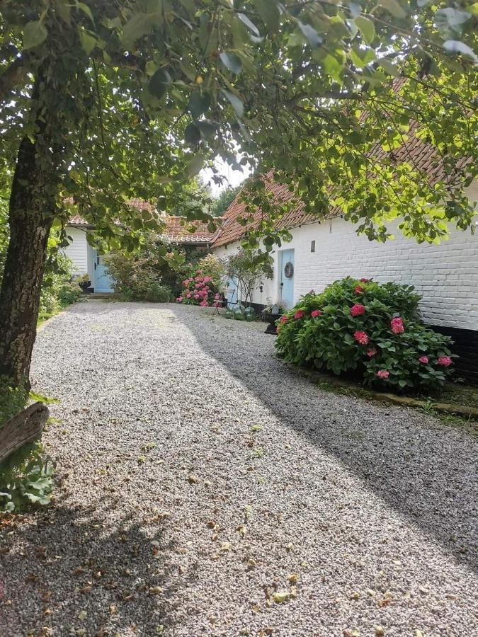 Le Clos De La Rose Gite Bien Etre Wirwignes Exterior photo