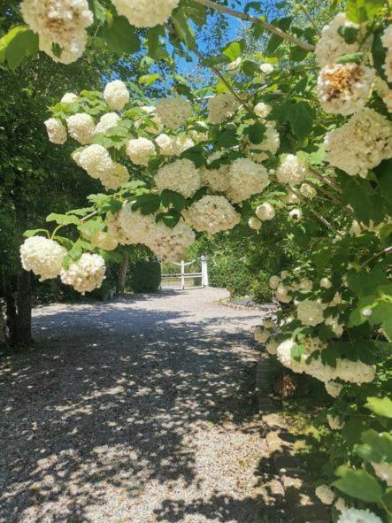 Le Clos De La Rose Gite Bien Etre Wirwignes Exterior photo